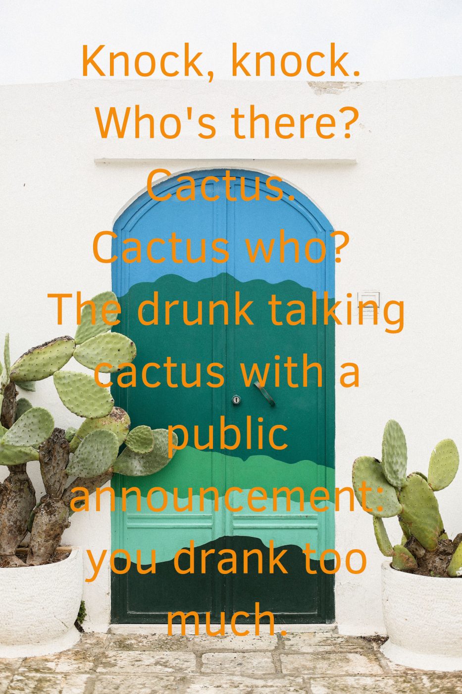 Cactus Knock Knock Joke About Being Drunk
