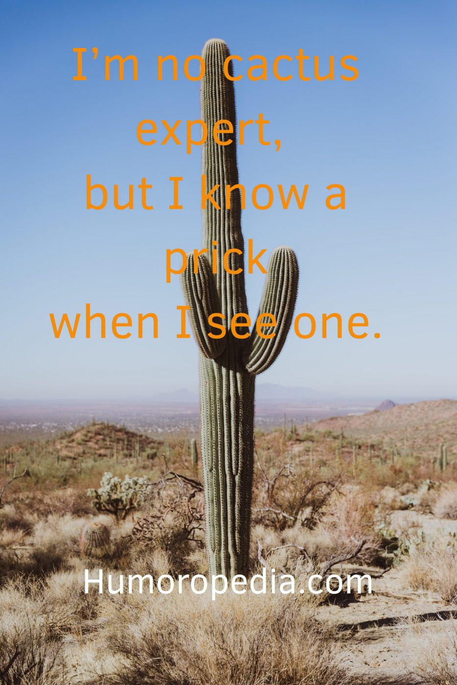 Funny Cactus Pun About A Prick