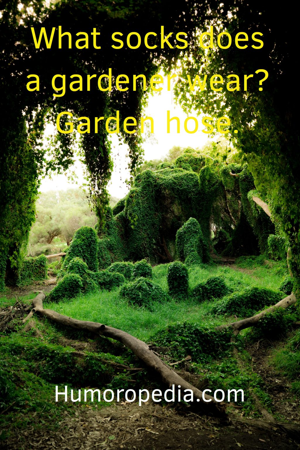 55 Funny Garden Puns & Jokes & More Laugh Away Right Now