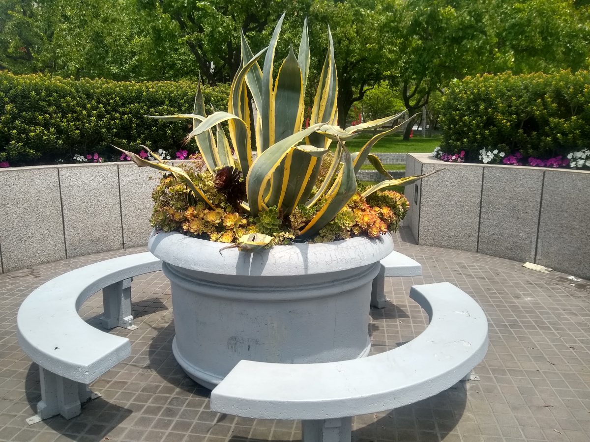 Outdoor Potted Plant Surrounded By Trees