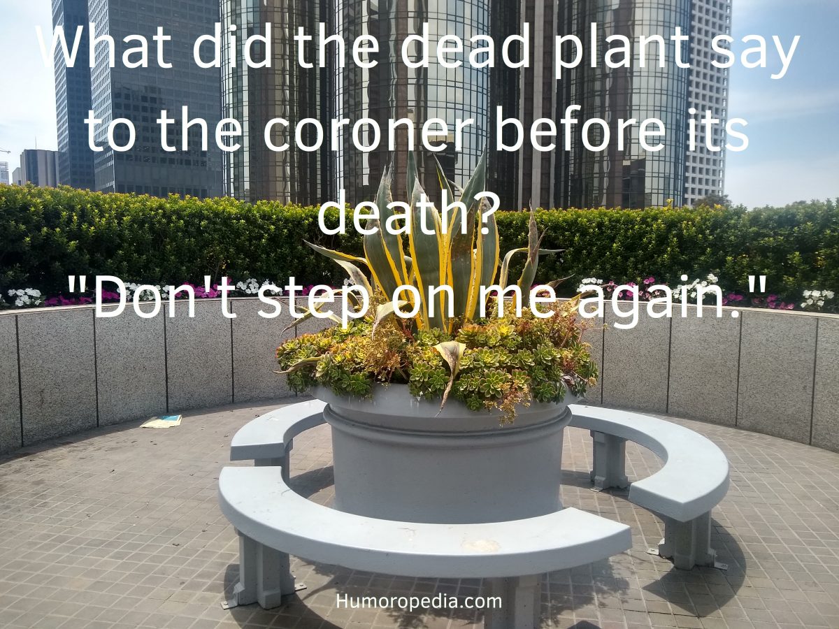 Funny Plant Joke About Death