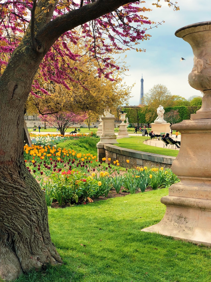 Beautiful Public Garden With Yellow Flowers