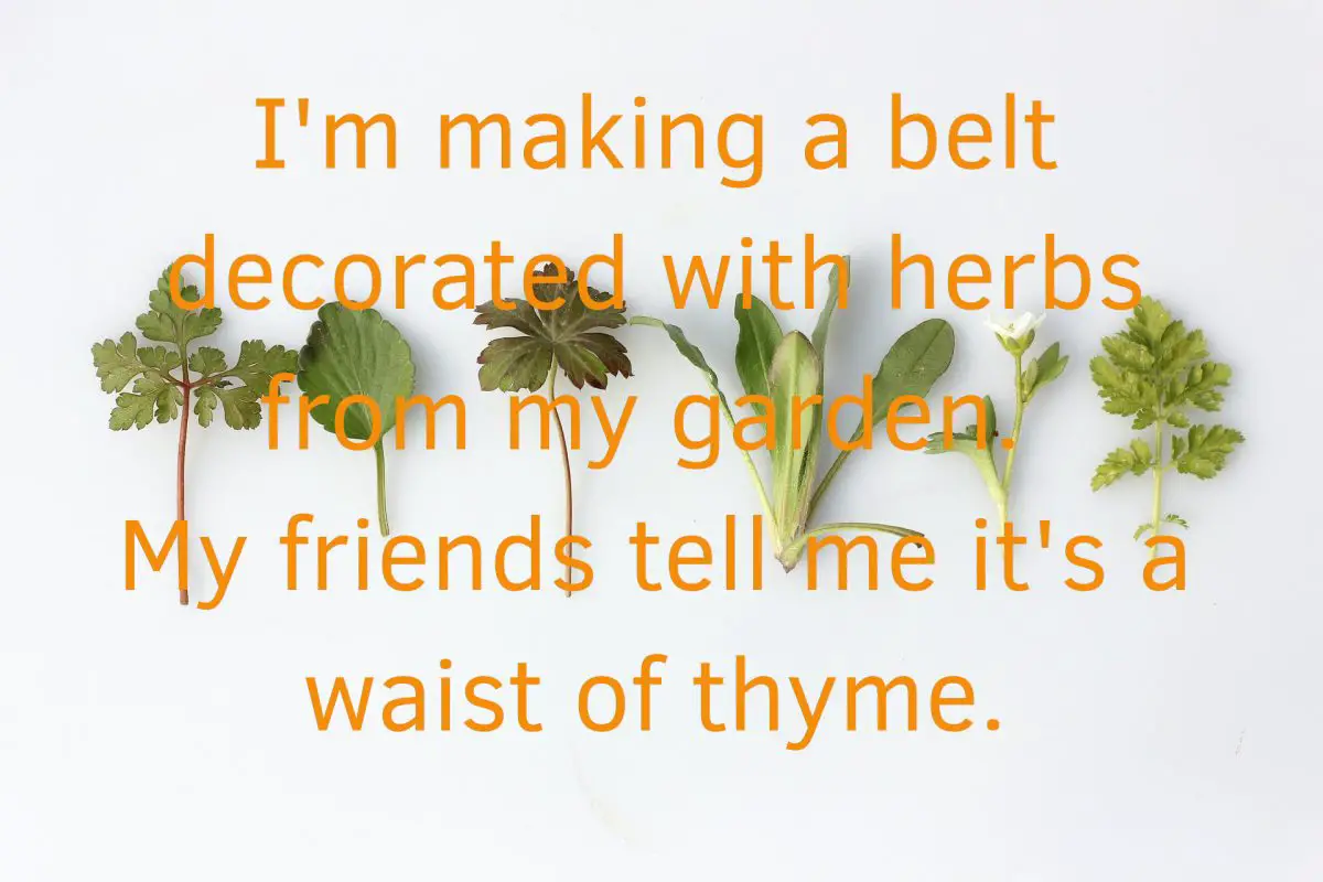 Herb Joke About Thyme
