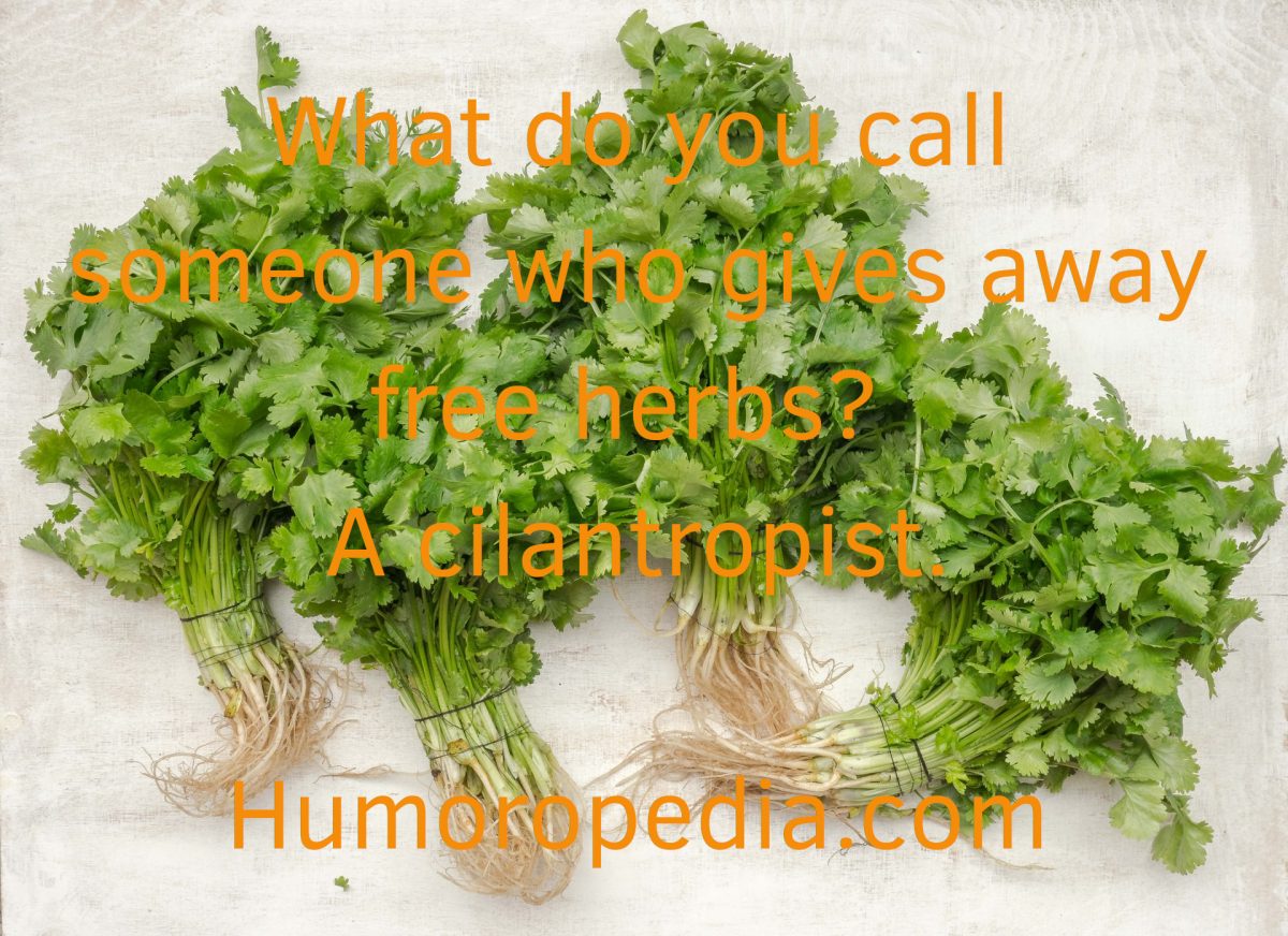 Herb Pun About Cilantro