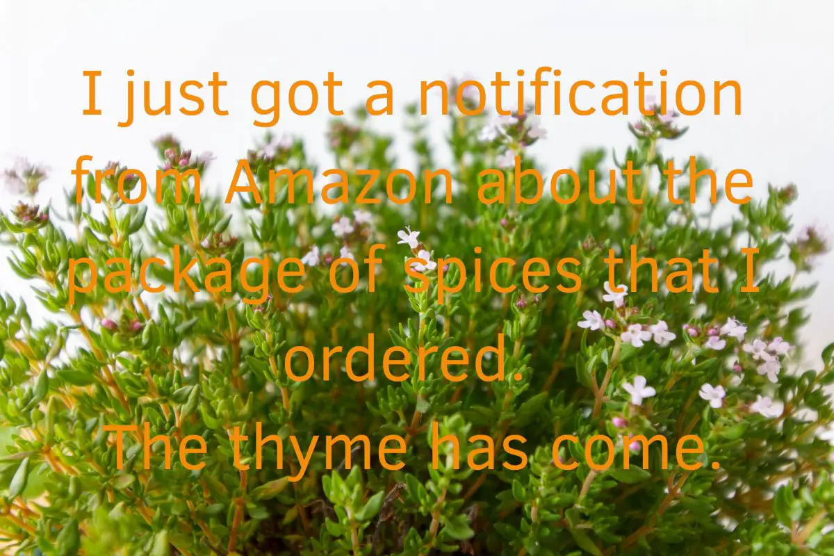 Spice Joke About Thyme