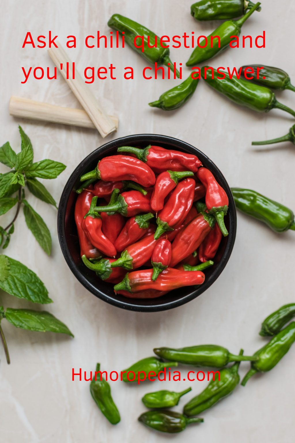 Spice Puns & Jokes: 25 Best That Will Make You Smile