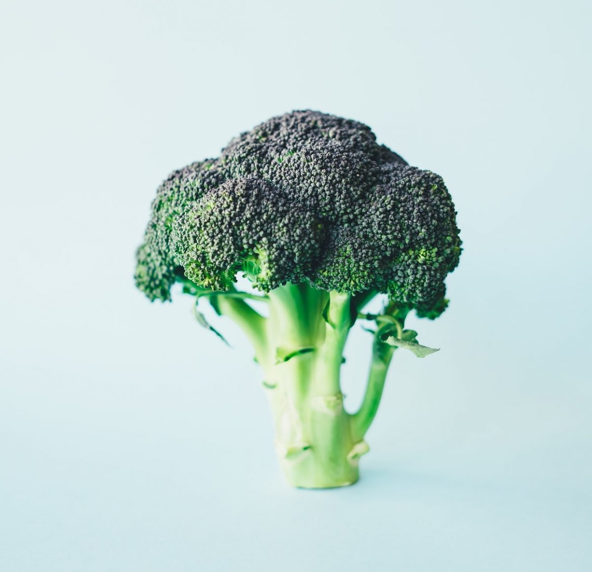 Broccoli Floret