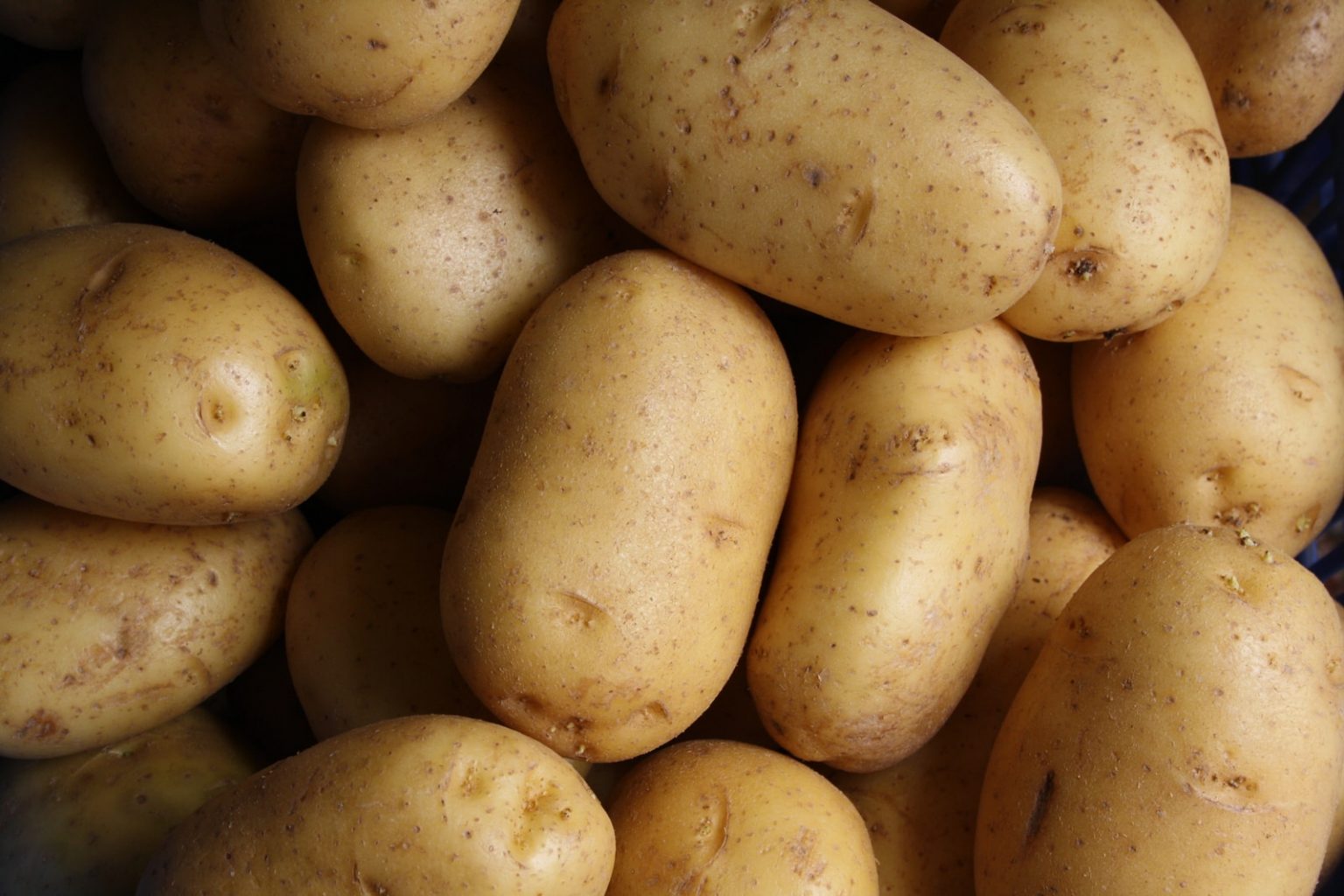 17 Best Potato Jokes & Puns So Funny You’ll Definitely LOL