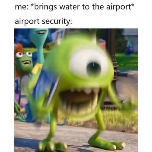 Funny Mike Wazowski Memes About Airport Security