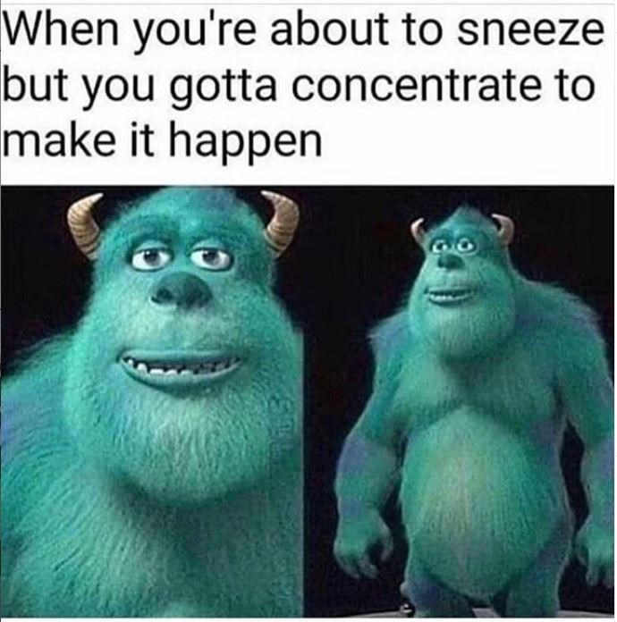 Monsters Inc Memes - Sully Before Sneezing