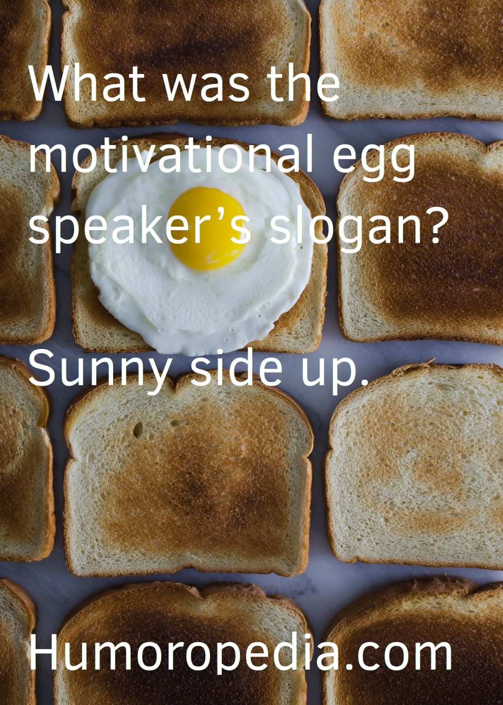 Egg Pun About The Motivational Speaker Slogan