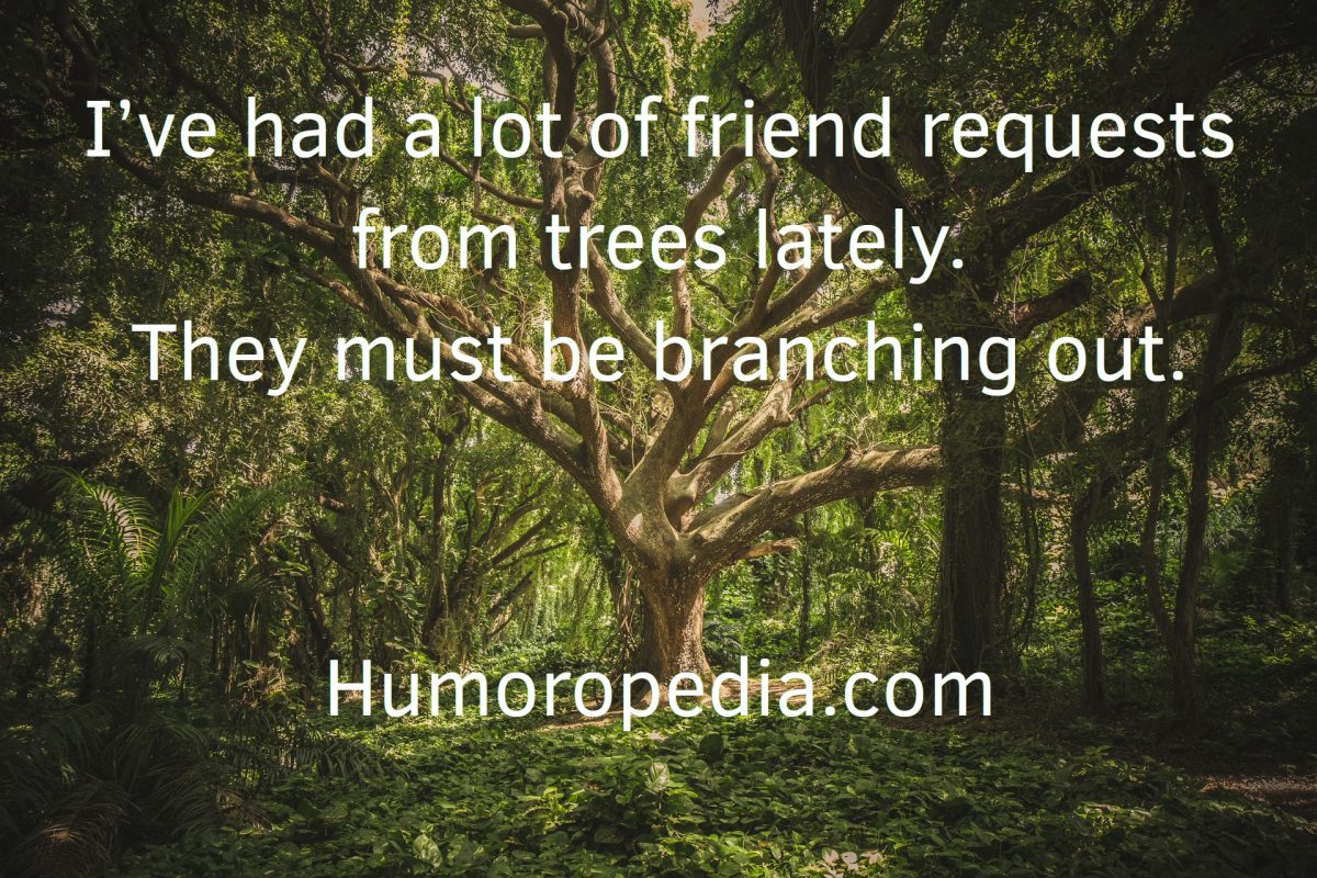 Tree Puns About Friend Requests