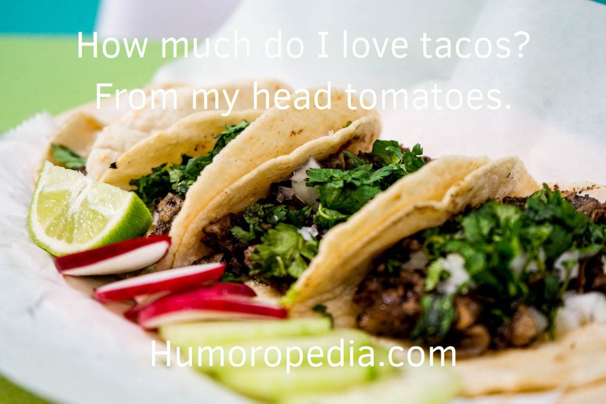 funny taco puns
