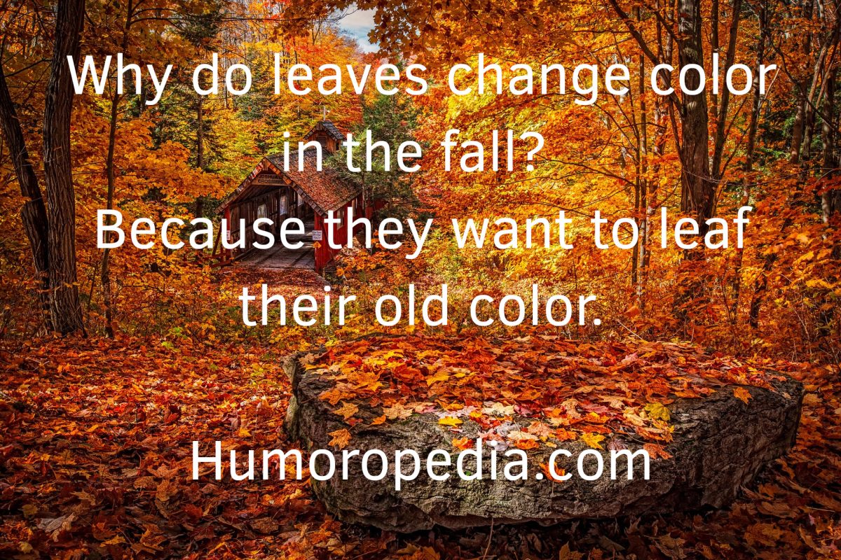 Funny Fall Joke For Kids About Leaves