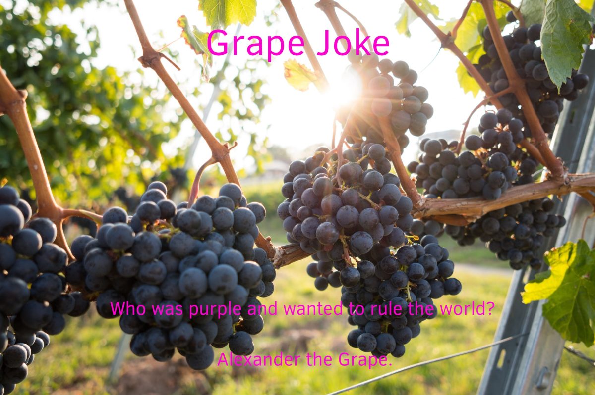 Grape Joke About Alexander The Great