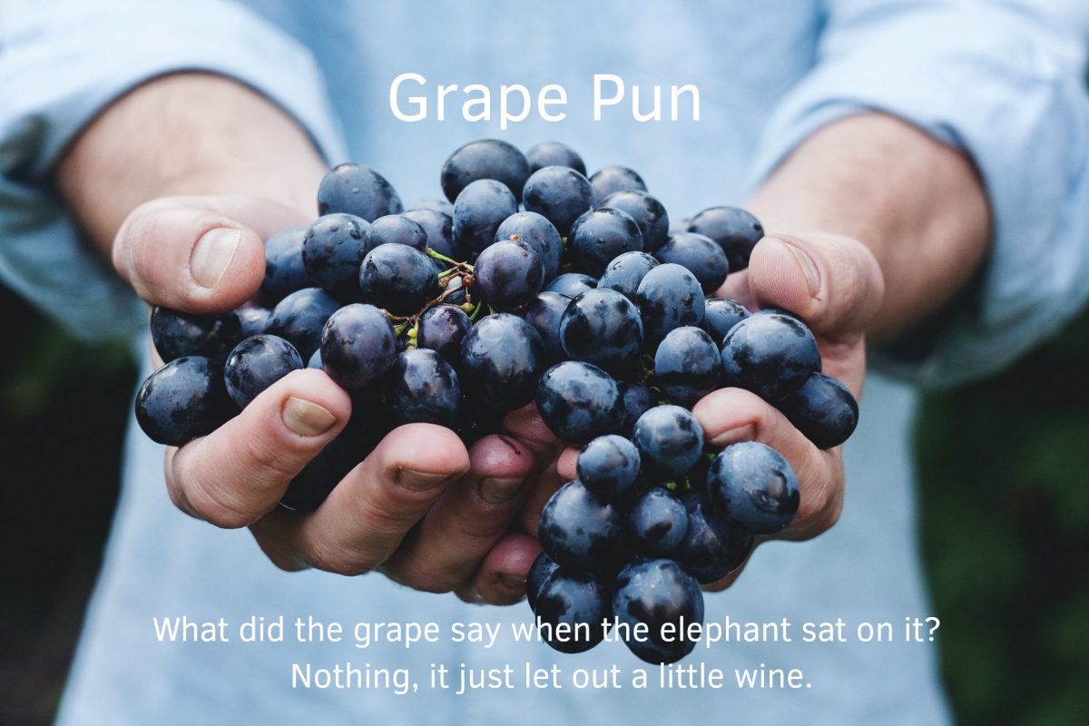 Grape Pun About The Elephant