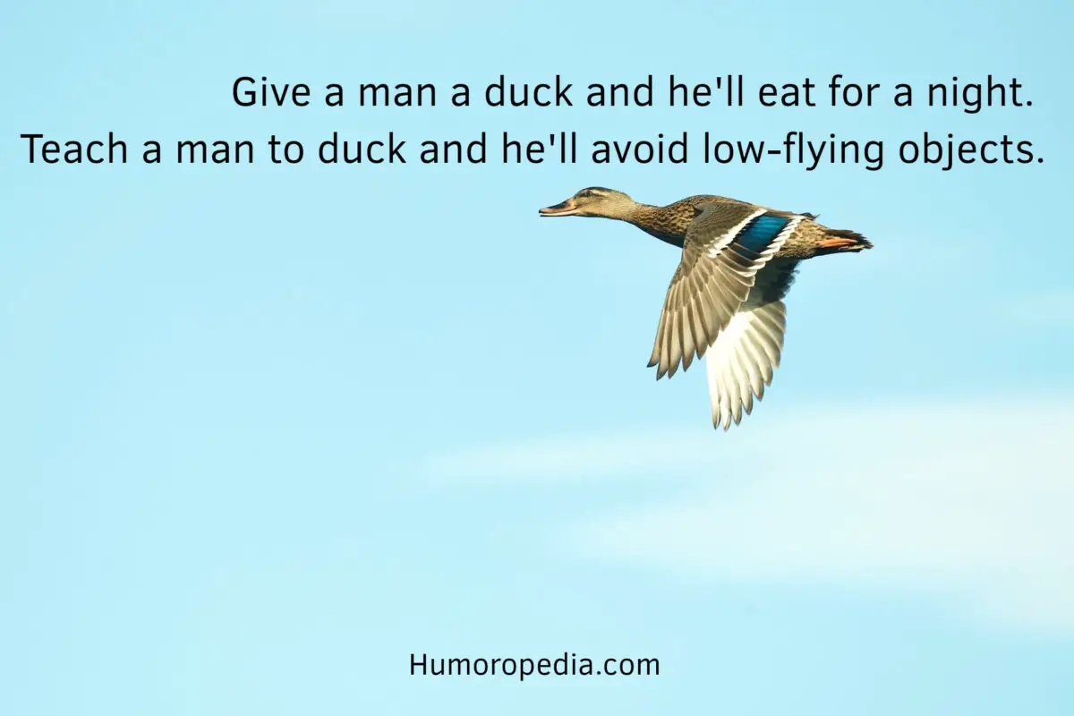 Duck Dad Joke About Low-Flying Objects