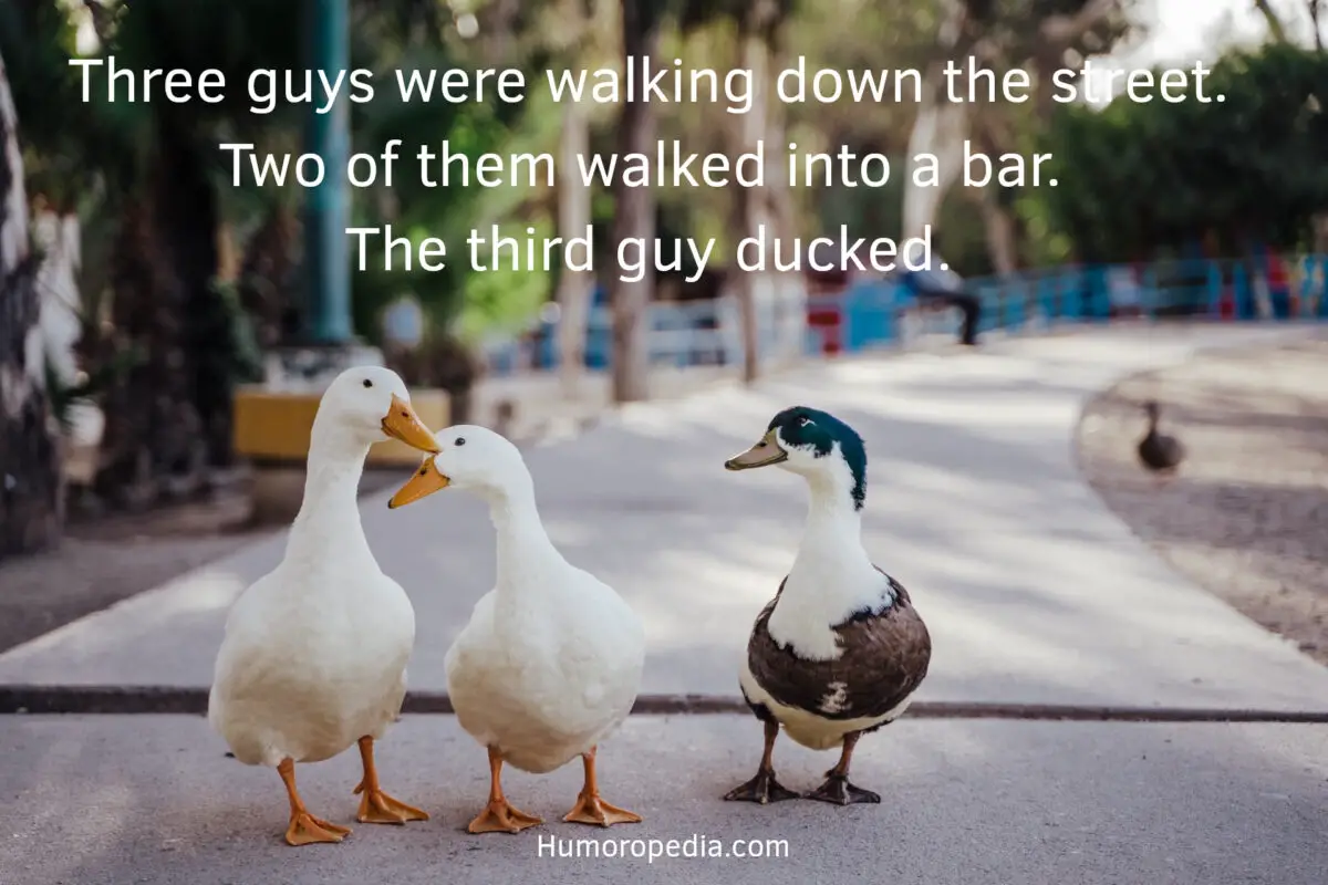 Duck Pun About Walking Into A Bar