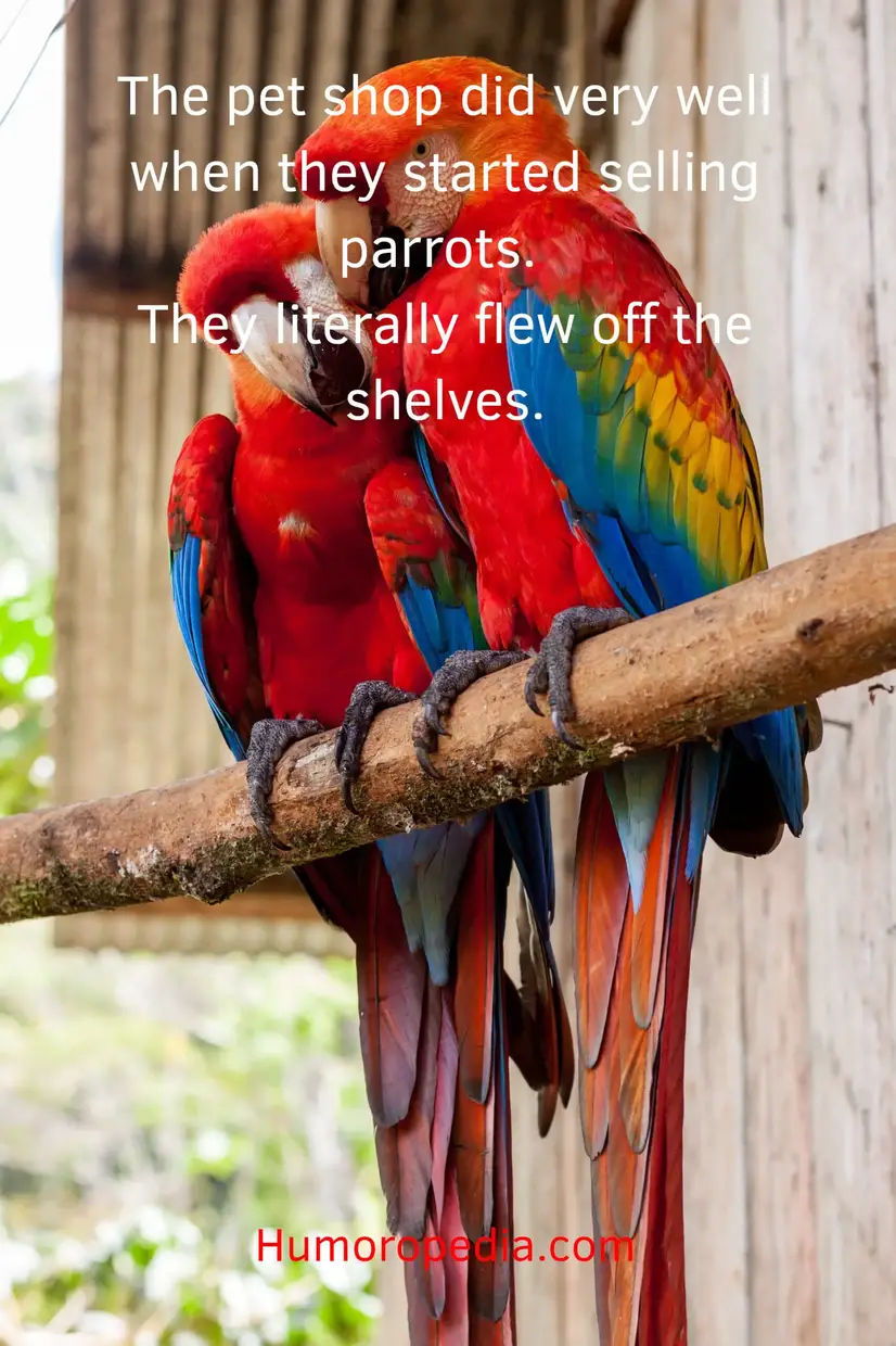 parrot pun related to pet shop