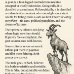 Goat Definition: The Creature That Outsmarted Gravity and Taxes Goat Definition: The Creature That Outsmarted Gravity And Taxes